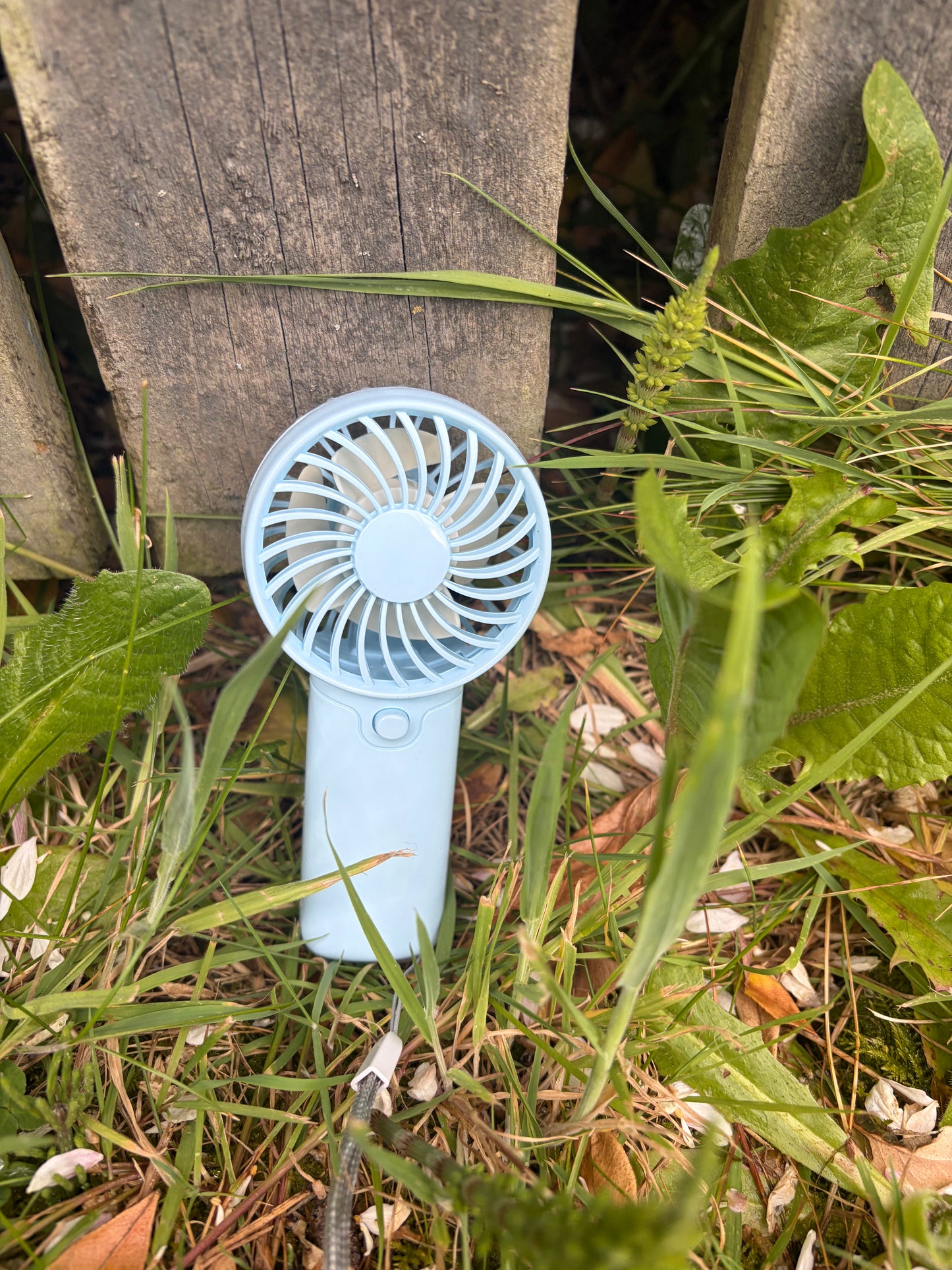 Portable fan