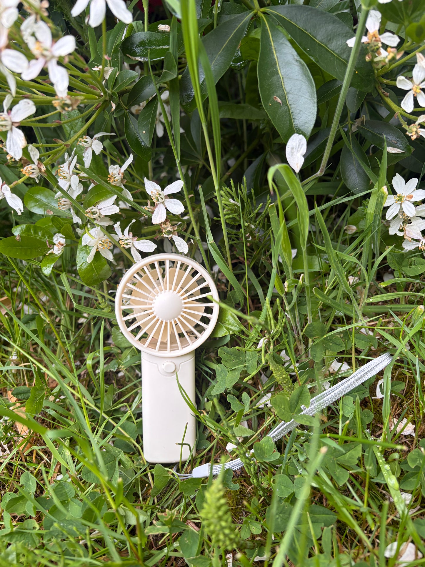 Portable fan