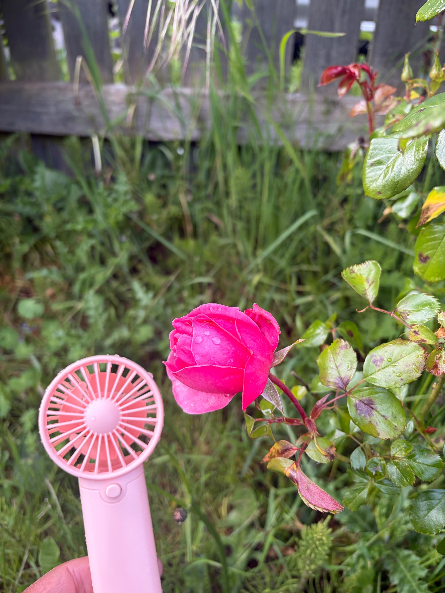 Portable fan